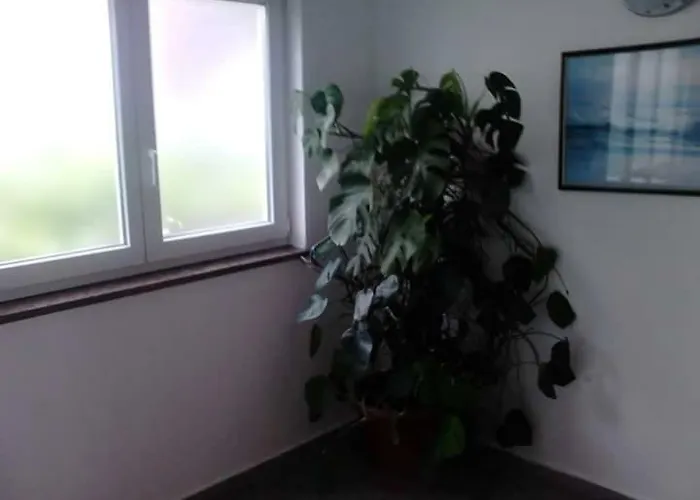 Gostinjska kuća Five